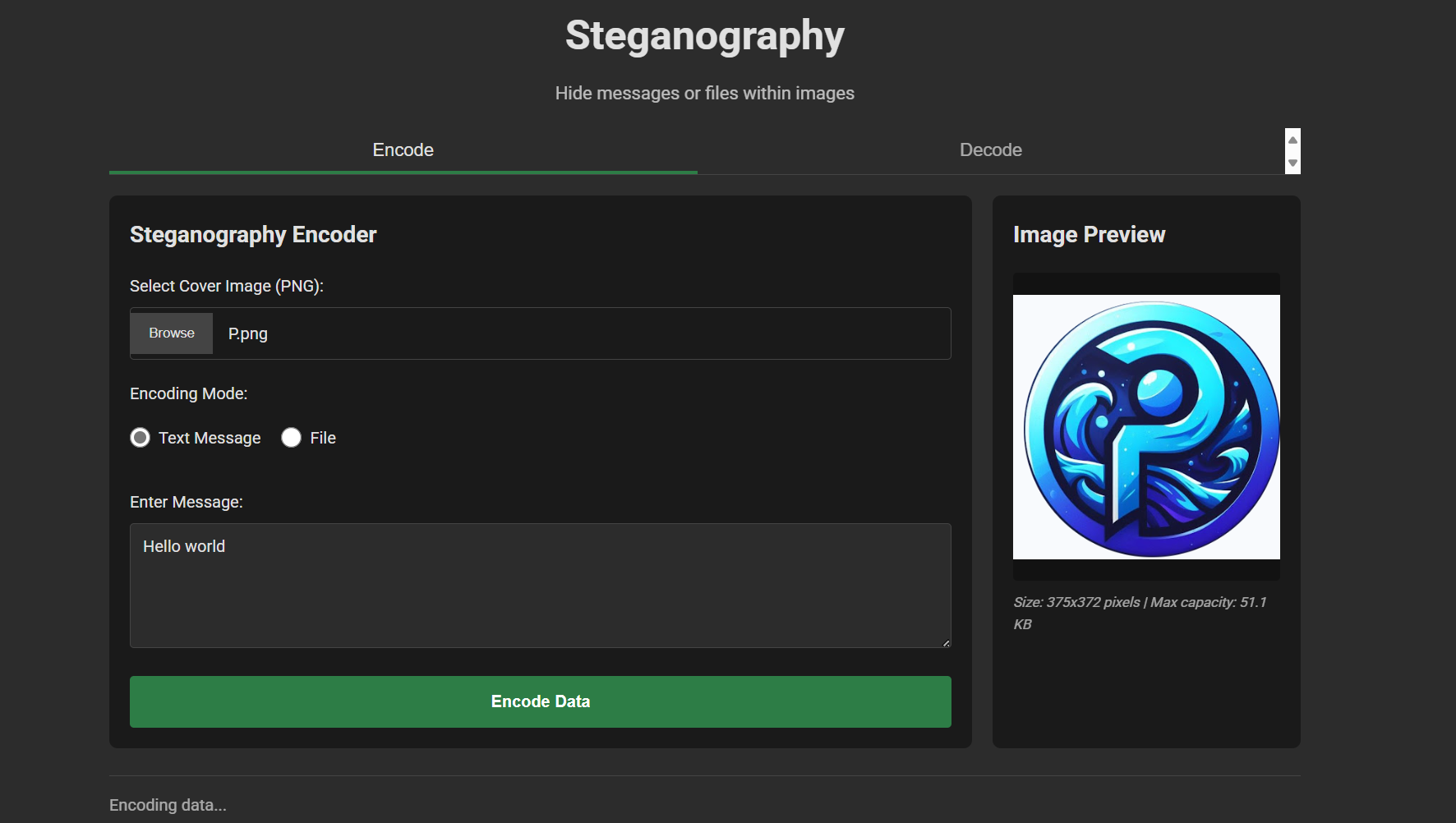 Steganography Preview