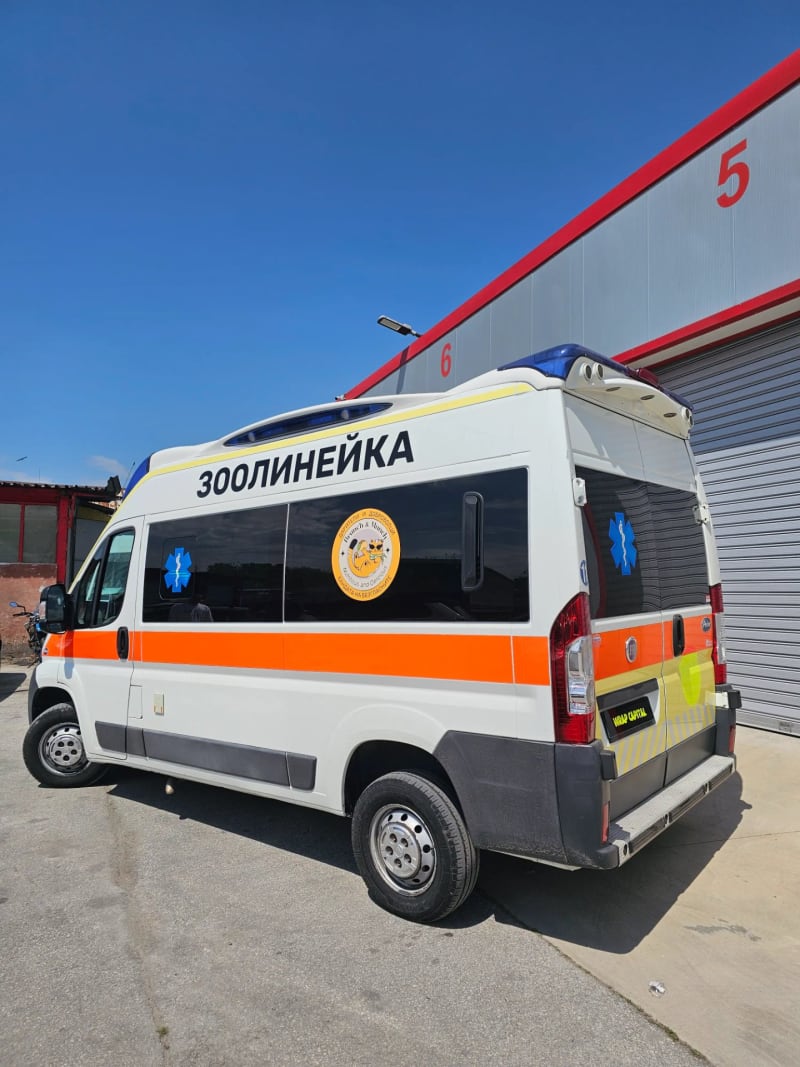 Брандиране с фолио на зоолинейка в Пловдив