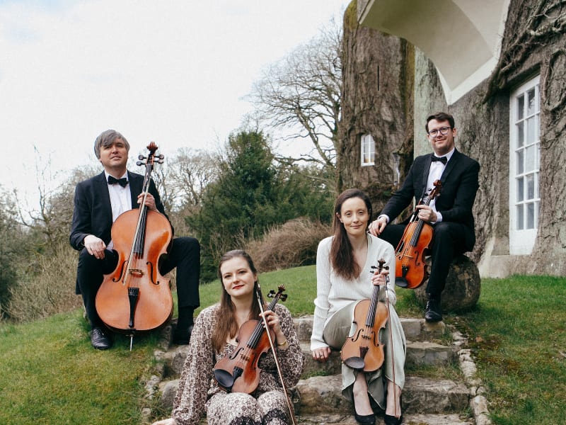 Aderyn String Quartet portrait outdoors on steps at a wedding venue