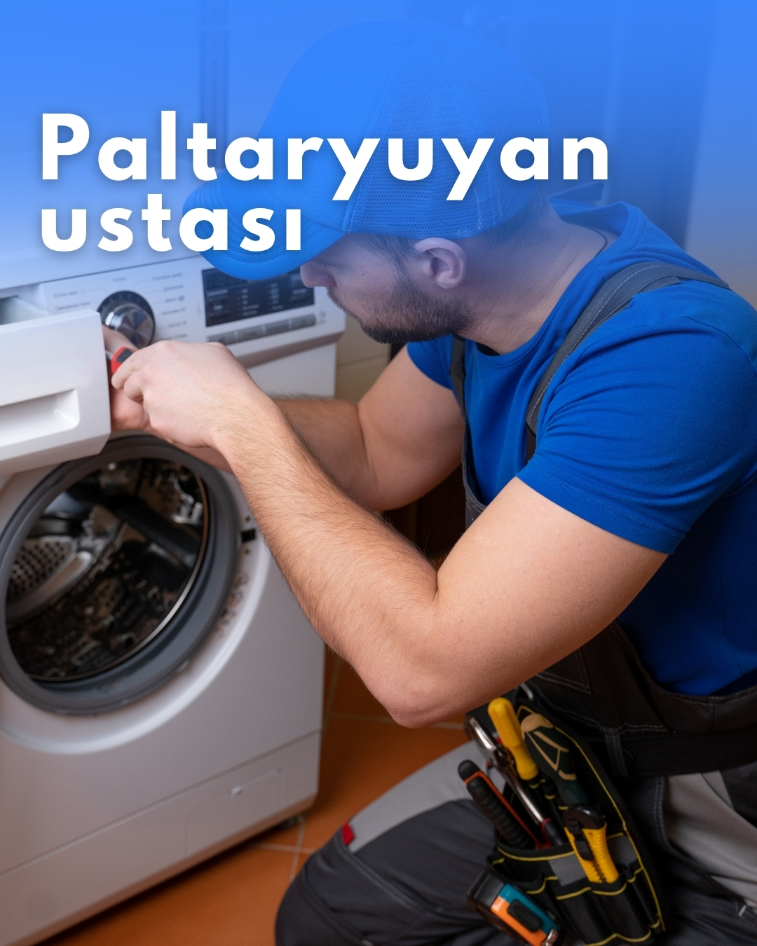 Paltaryuyan ustası