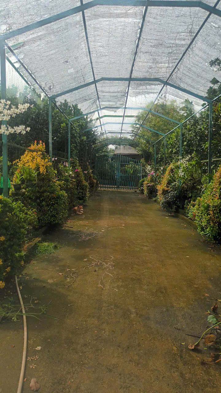 Picture 1