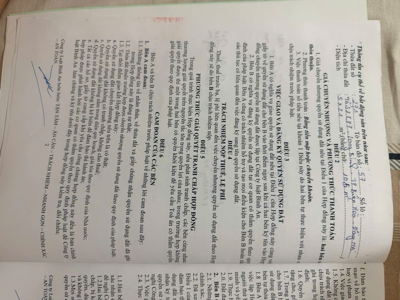Picture 3