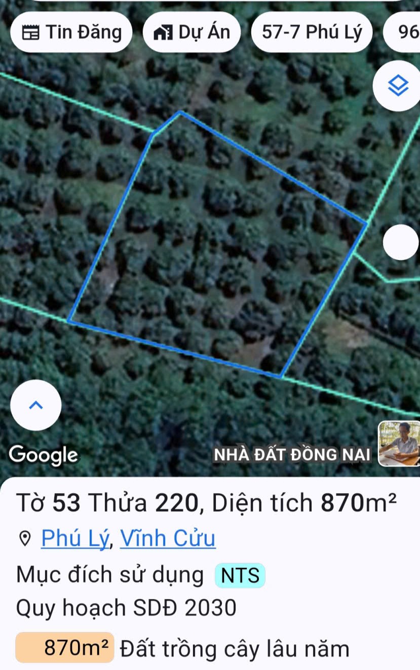Ảnh 3
