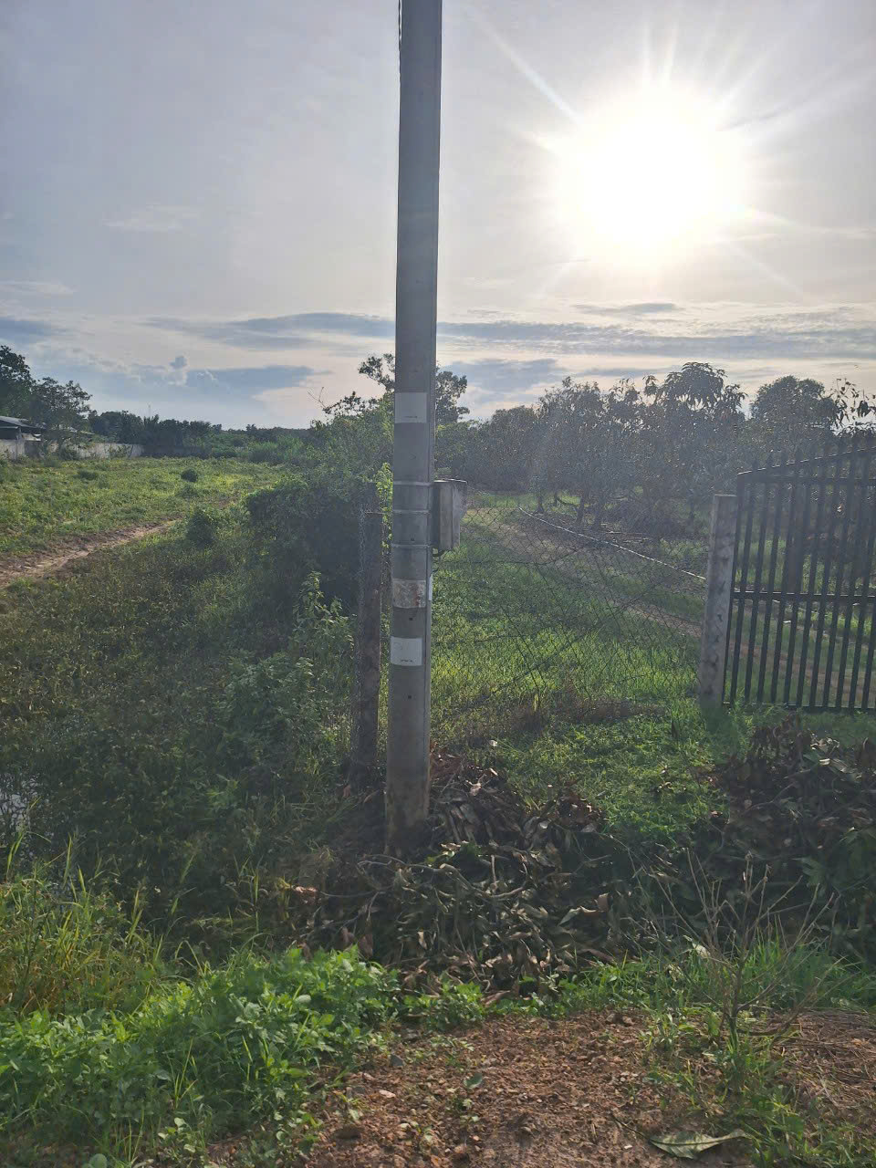 Ảnh 2
