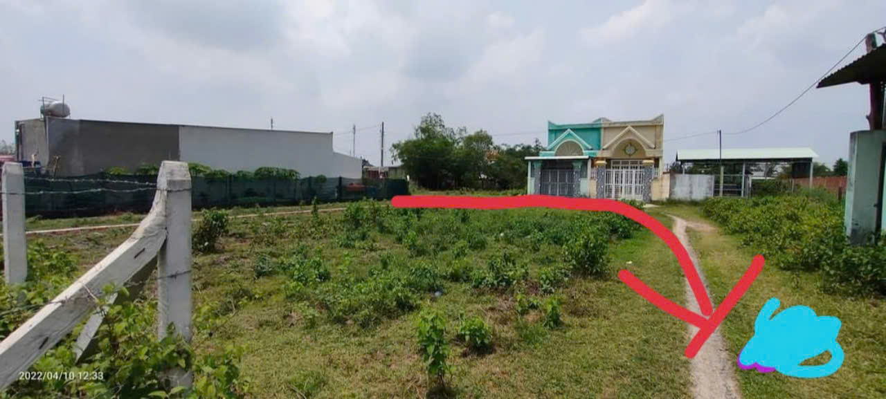 Ảnh chính