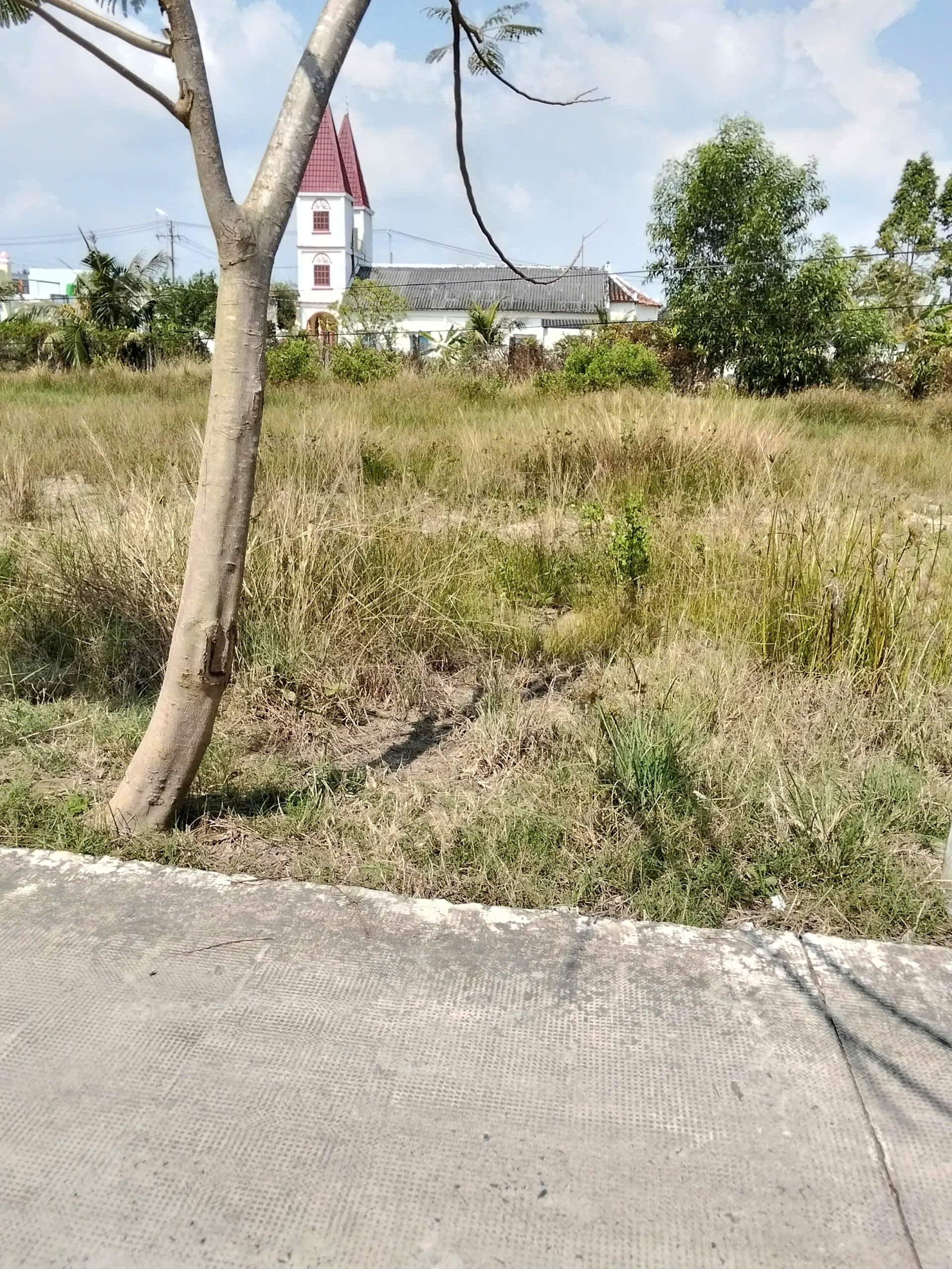 Picture 1