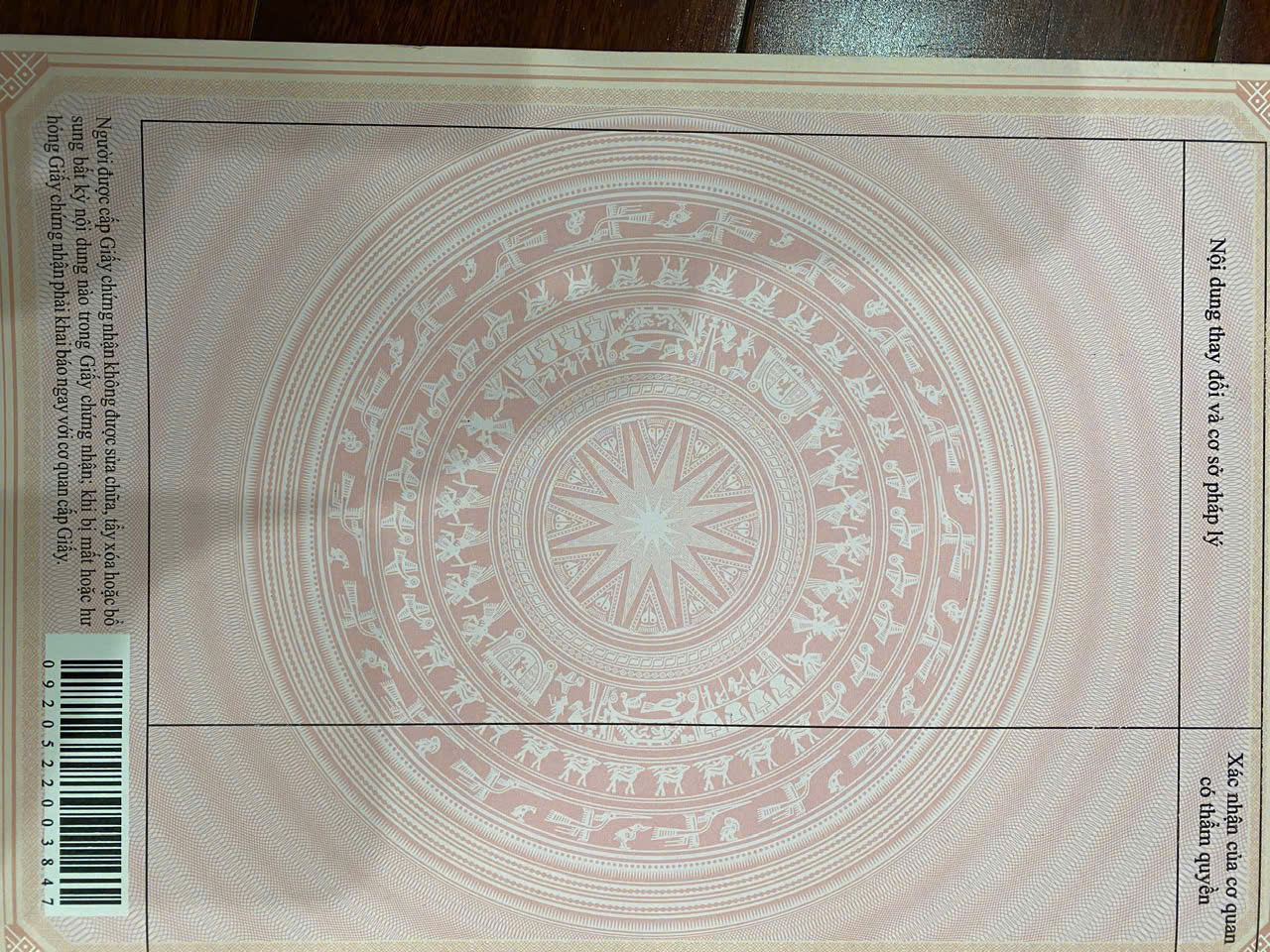 Picture 3
