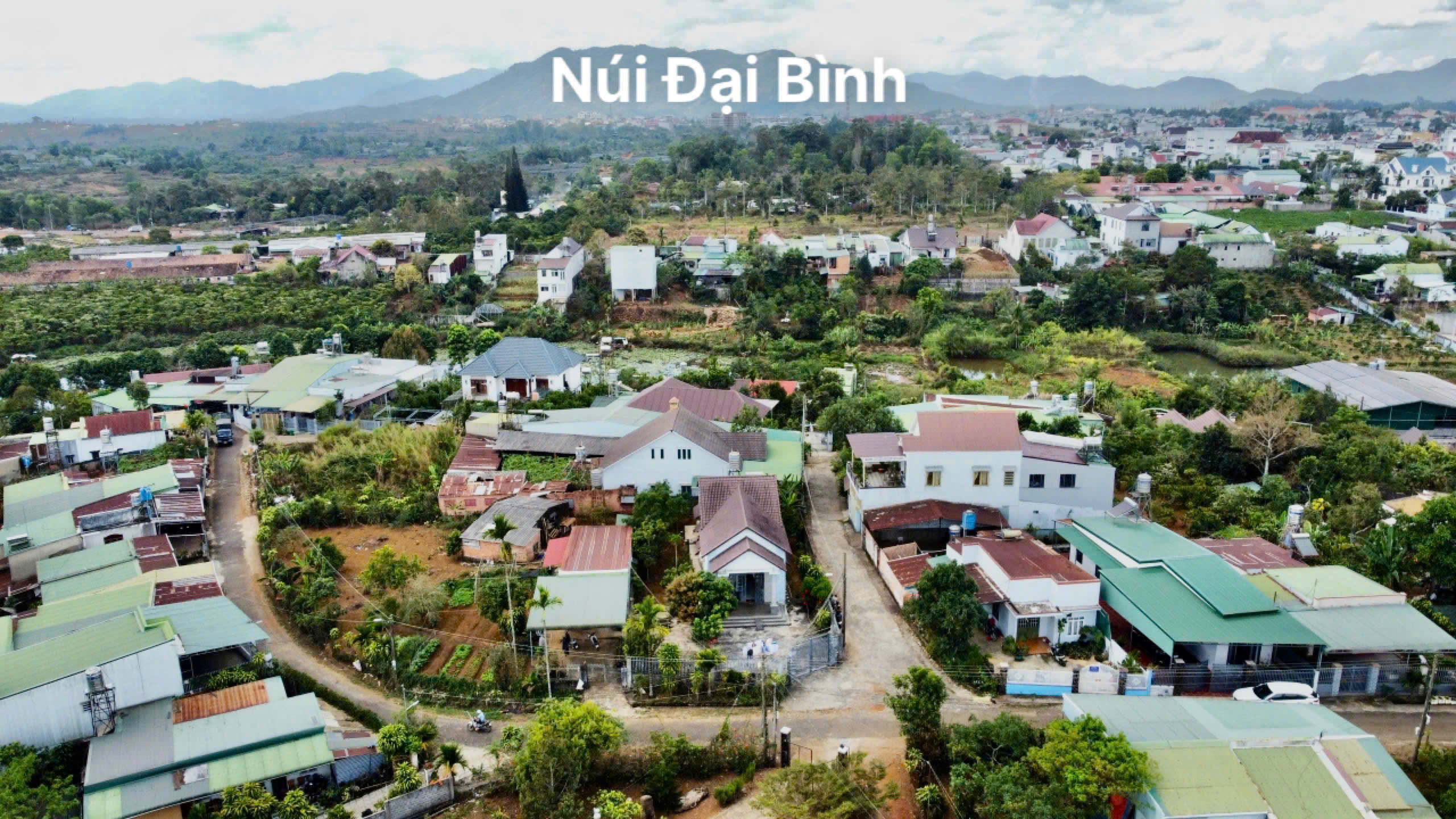 Ảnh chính