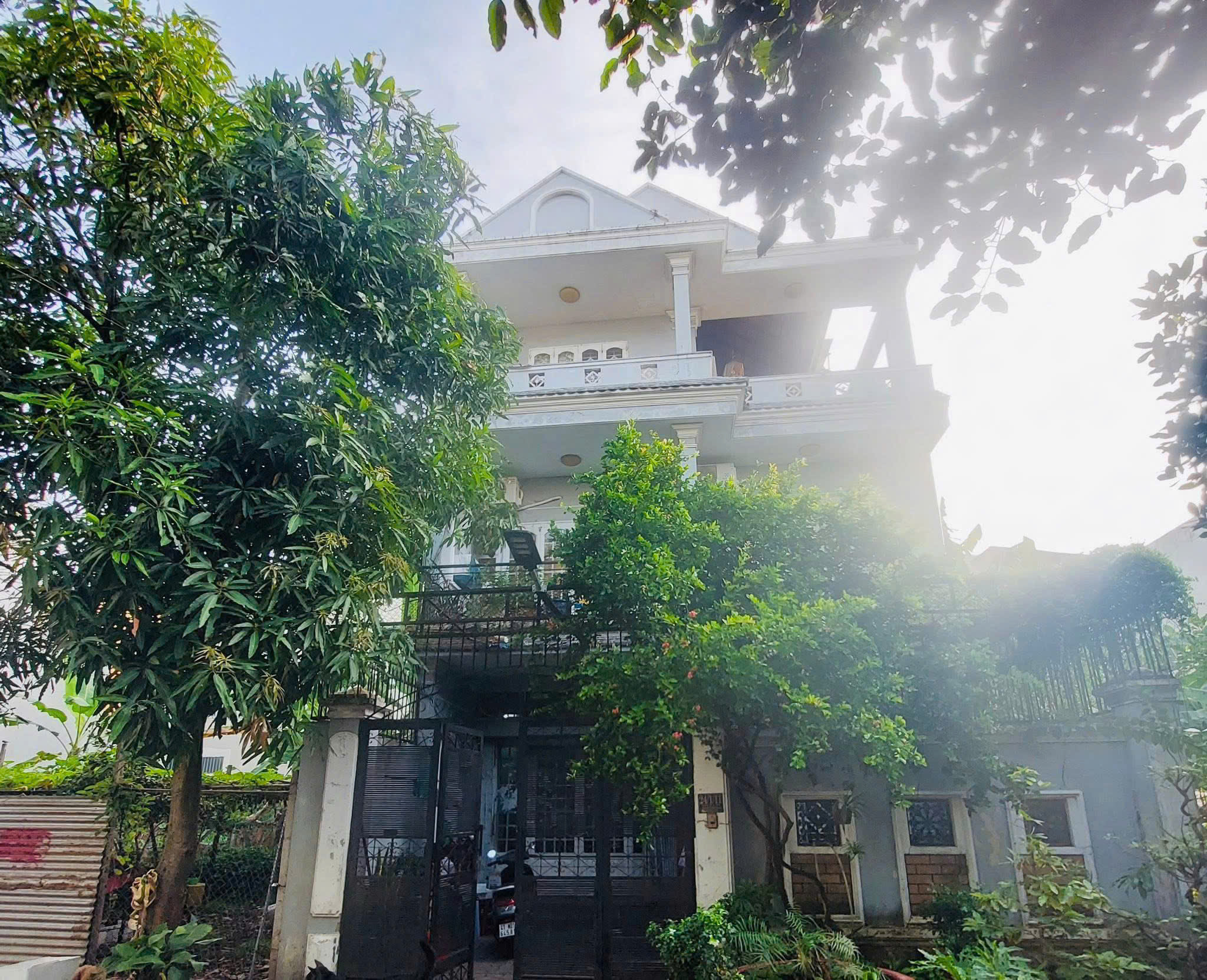 Ảnh chính