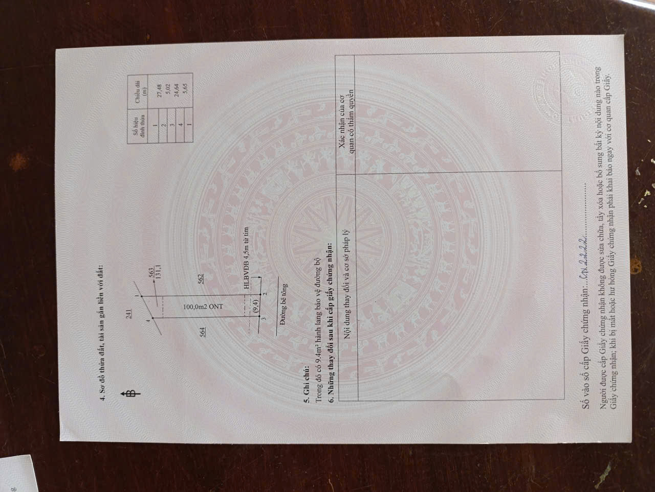 Picture 11