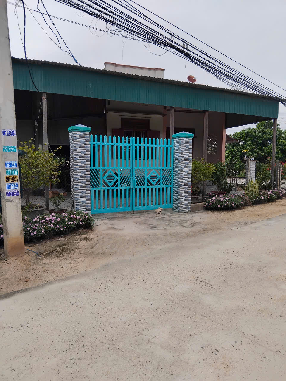 Ảnh chính
