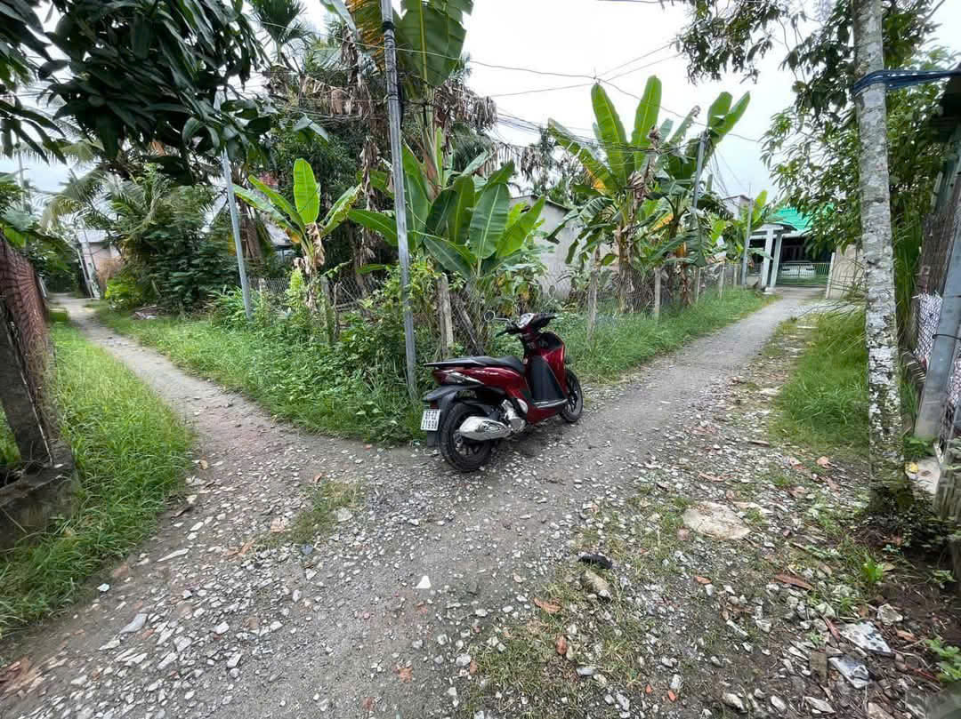 Ảnh chính