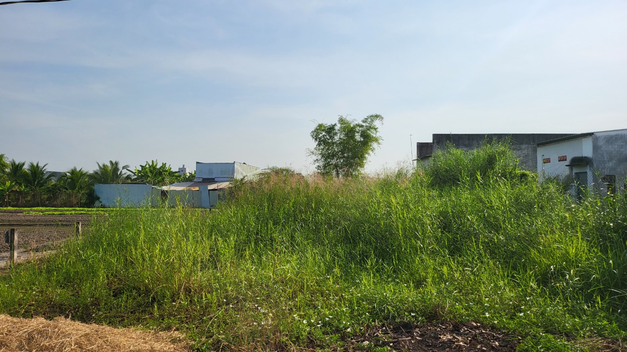 Ảnh chính