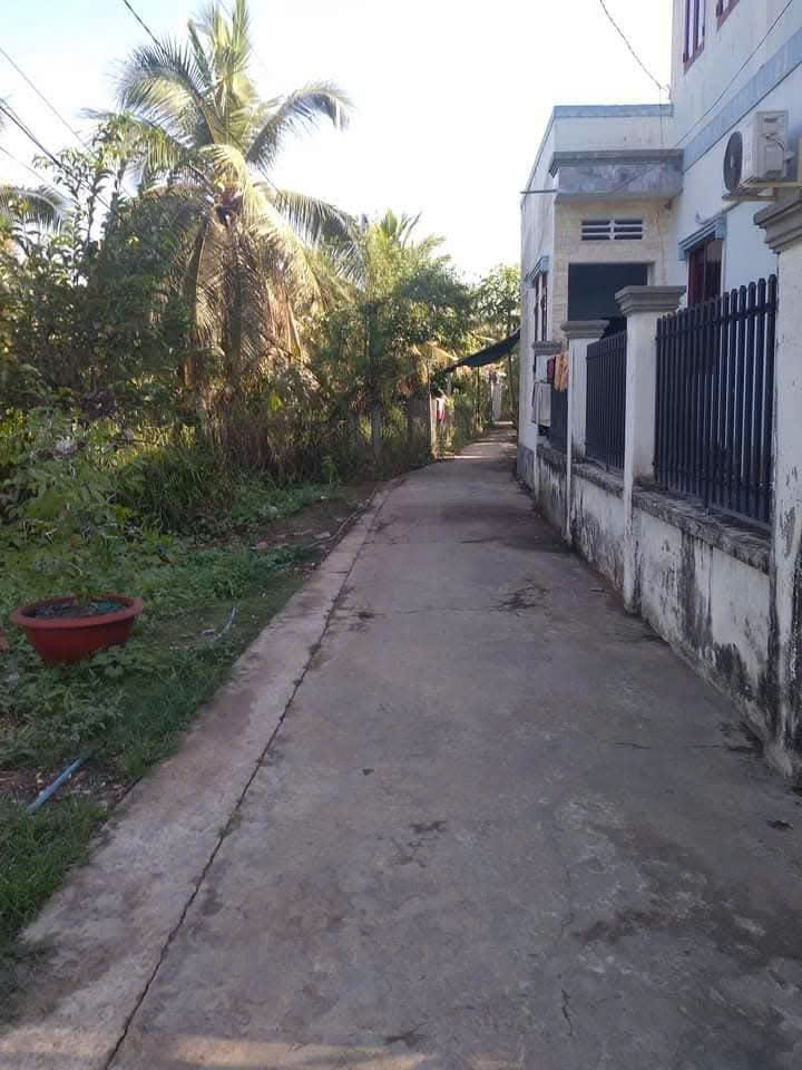 Picture 3