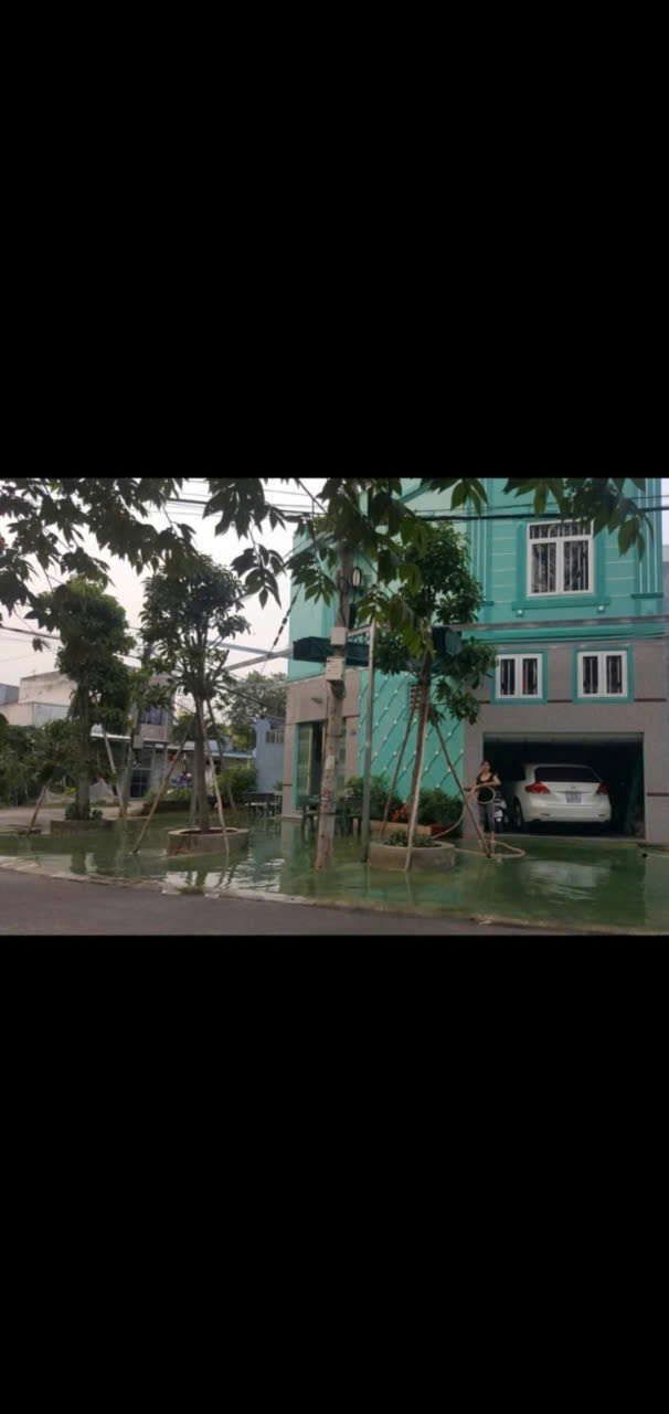 Picture 4
