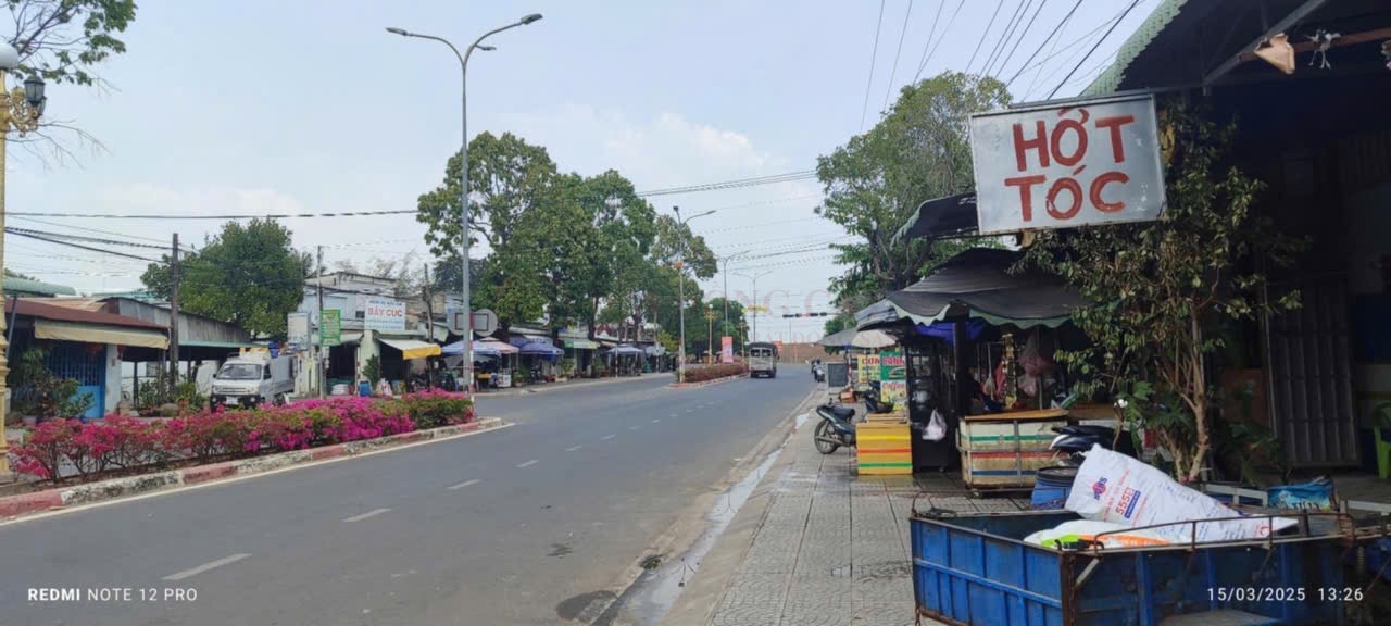 Ảnh chính