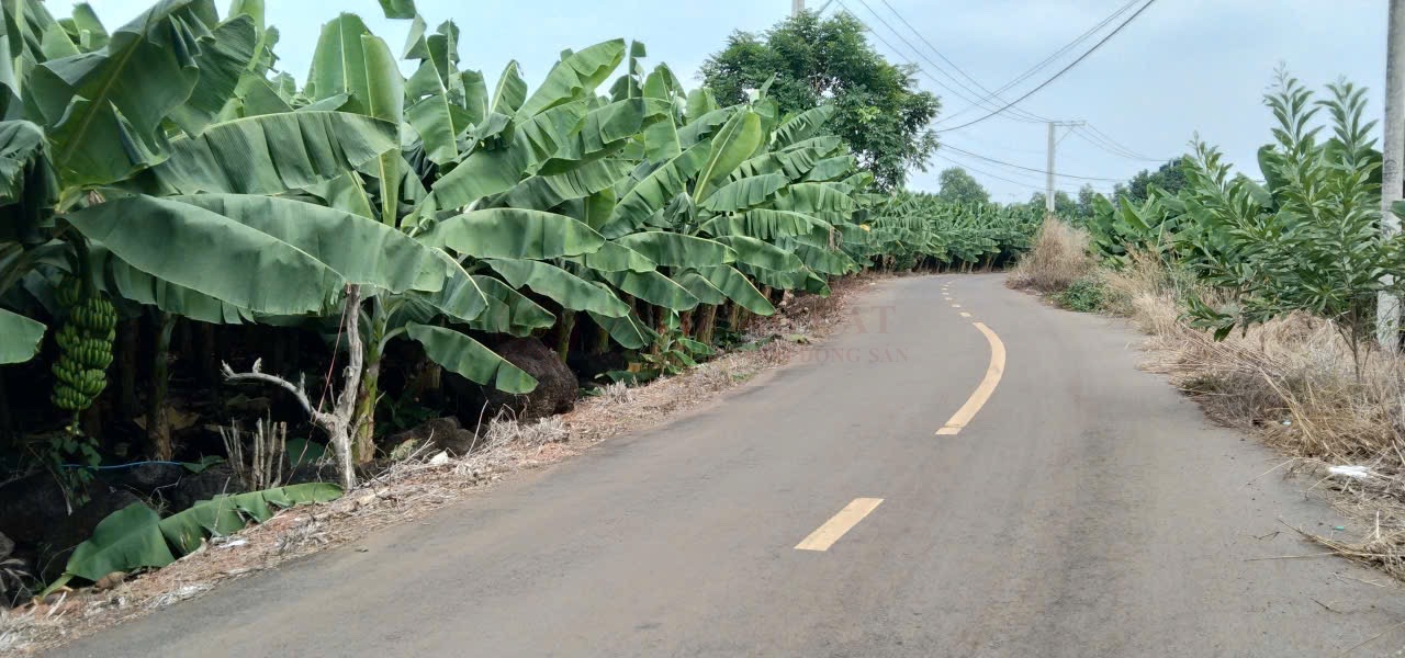 Ảnh 2