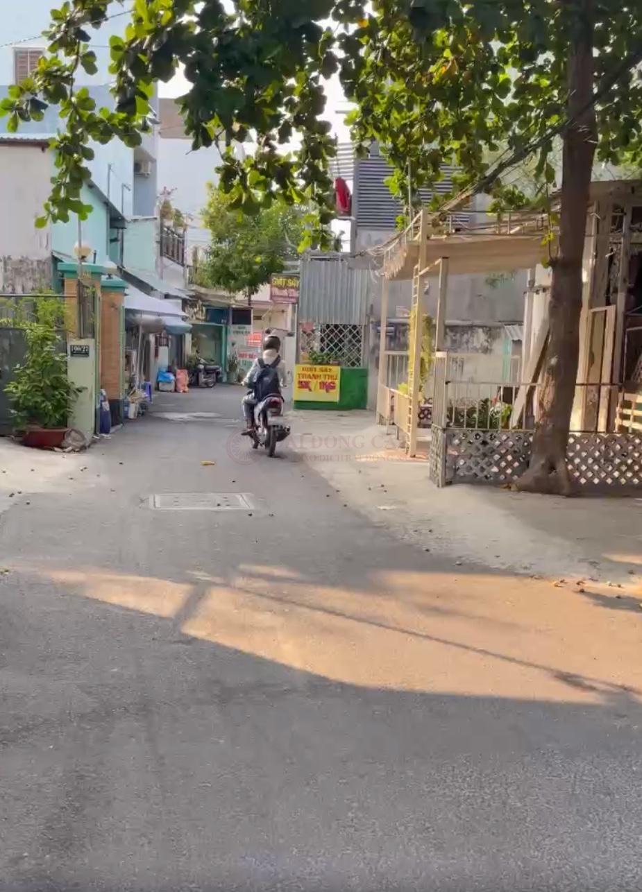 Ảnh 2