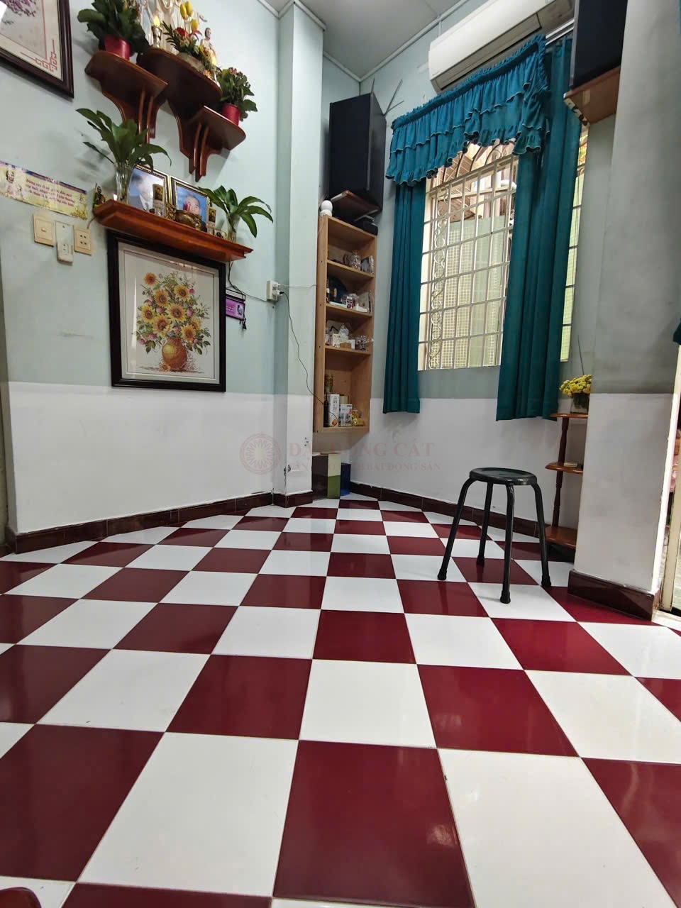 Picture 6