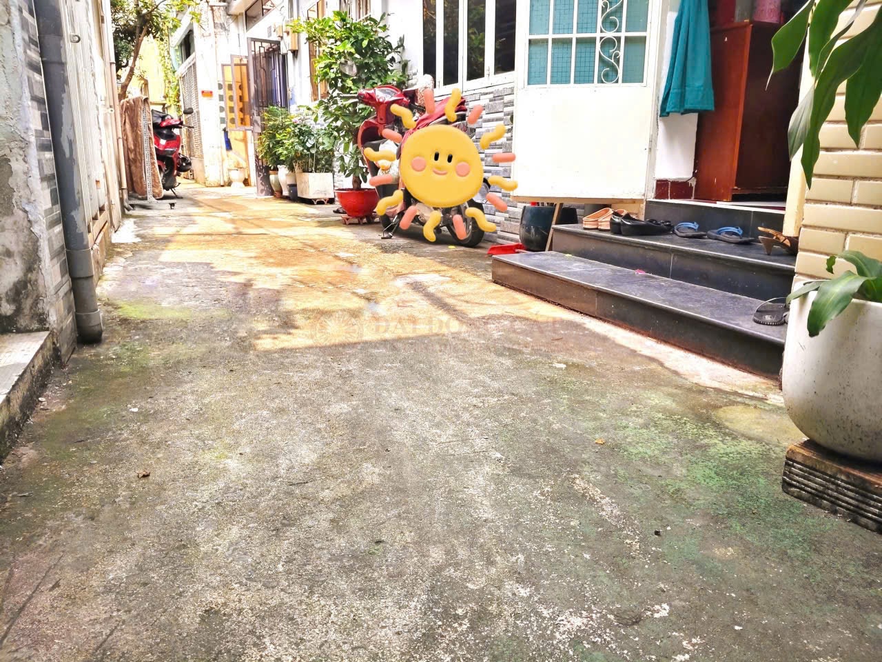 Ảnh 2