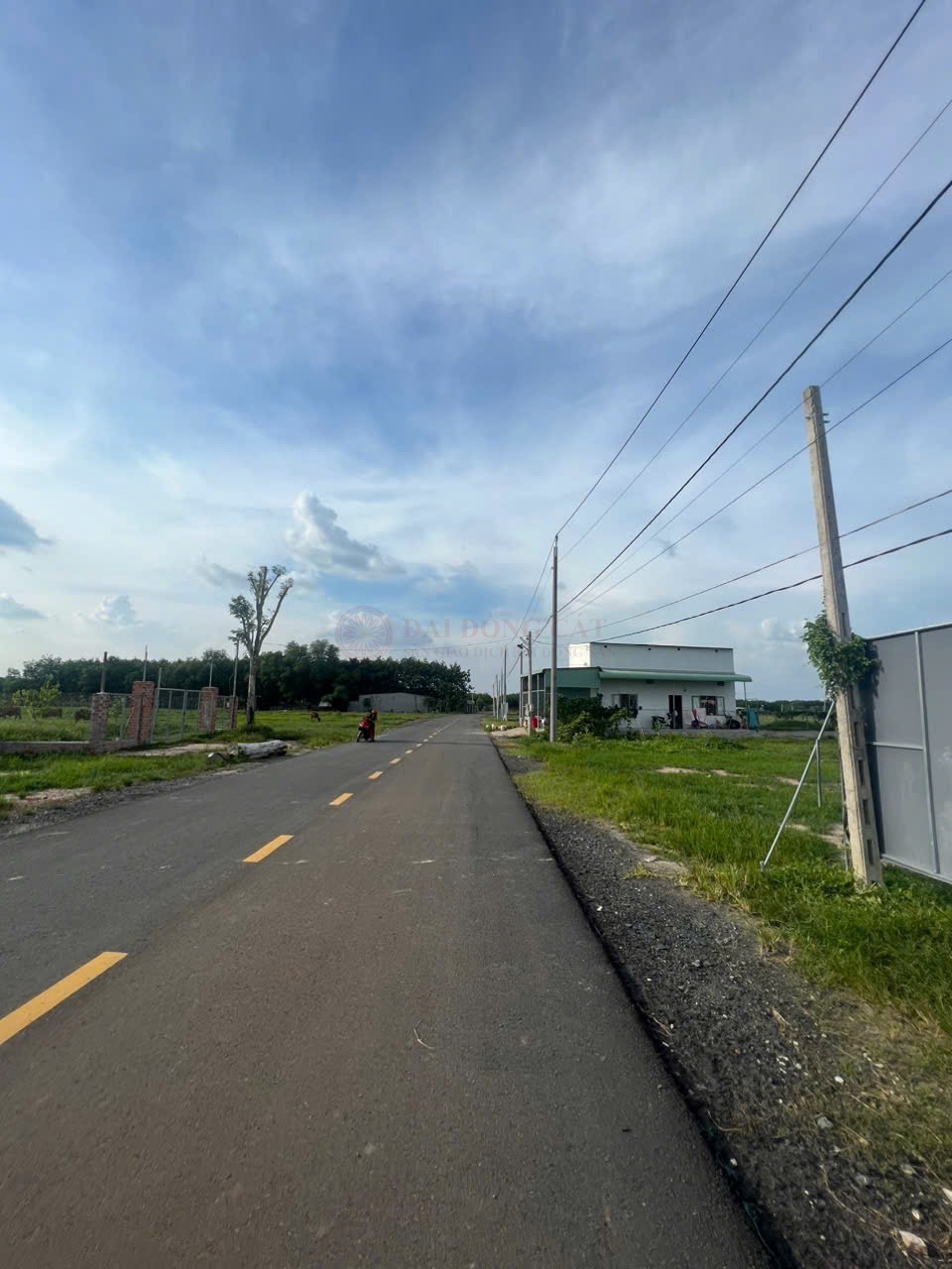 Ảnh 3