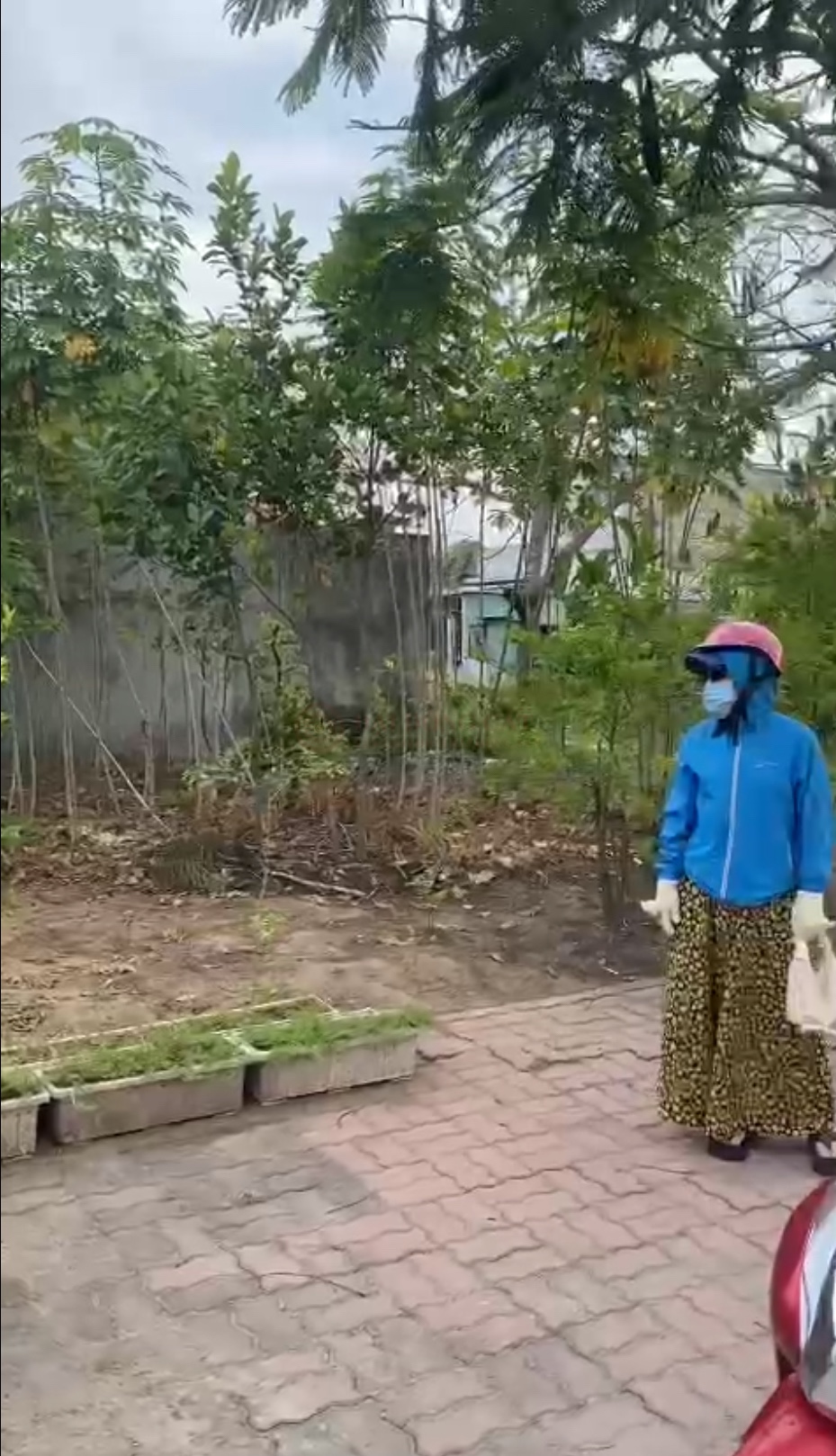 Ảnh chính