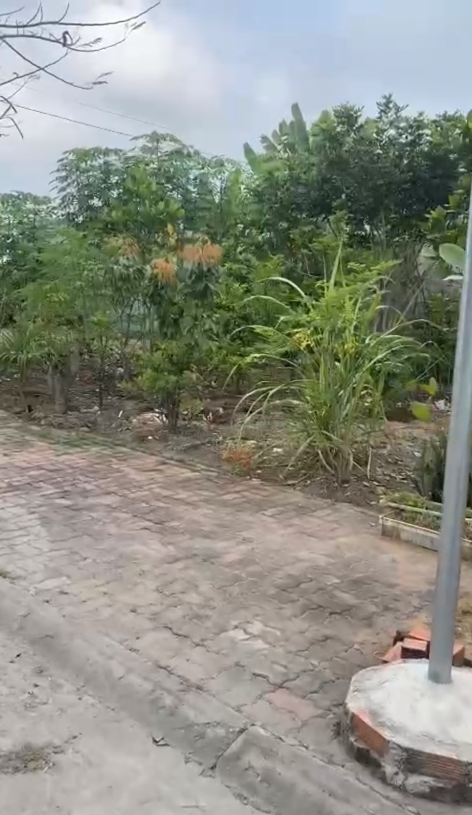 Ảnh 2