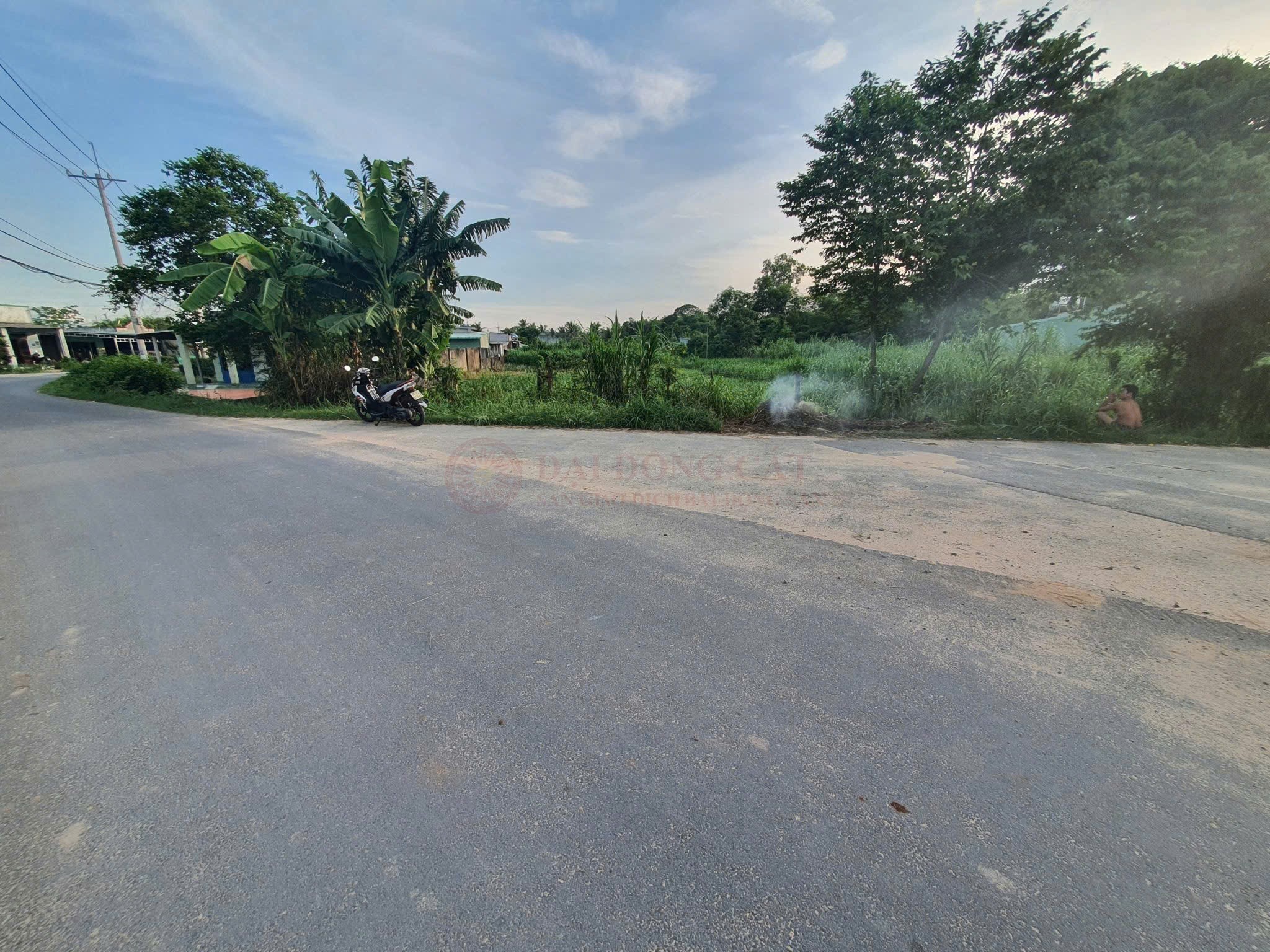 Picture 4