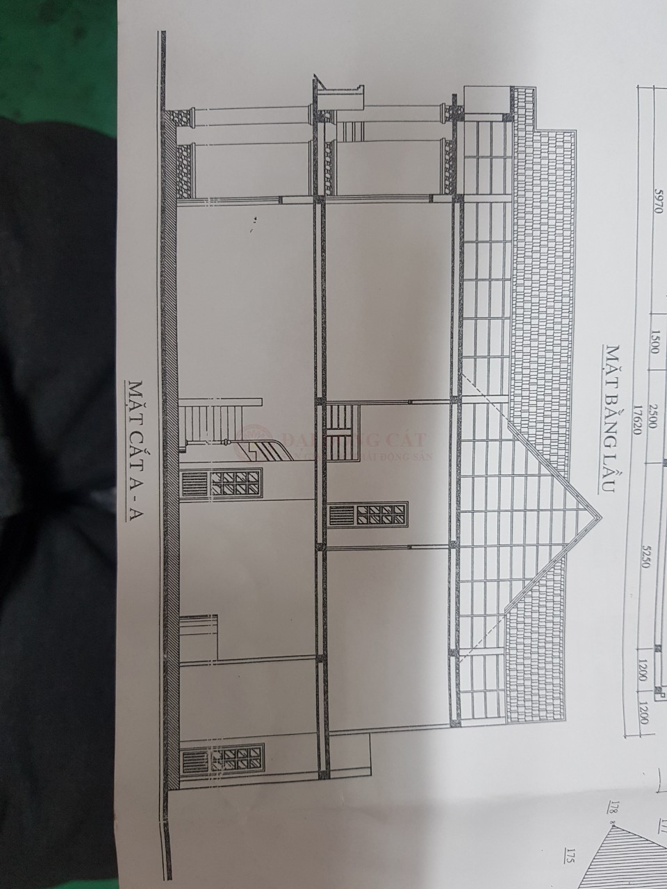 Picture 1