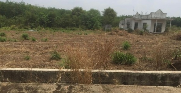 Ảnh chính