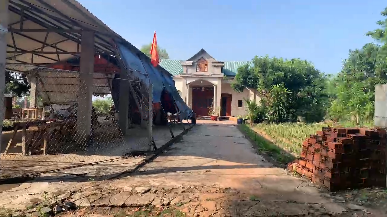 Ảnh chính