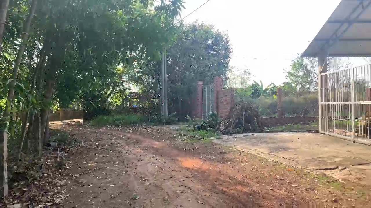 Ảnh 2