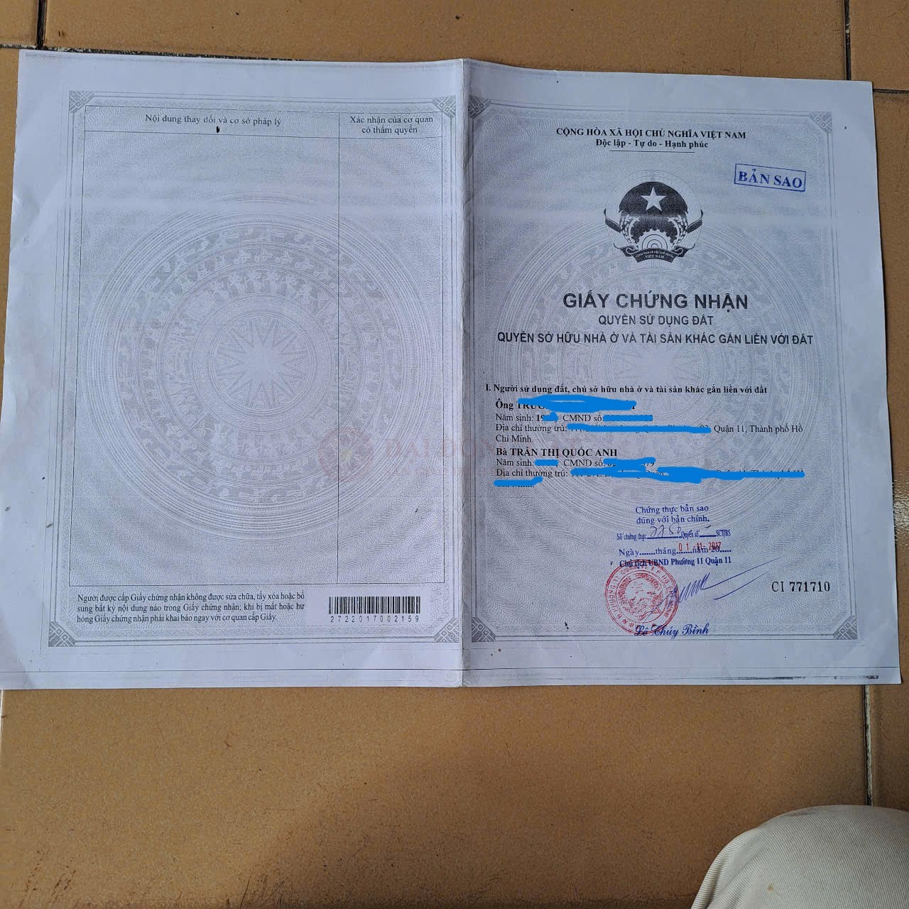 Picture 3