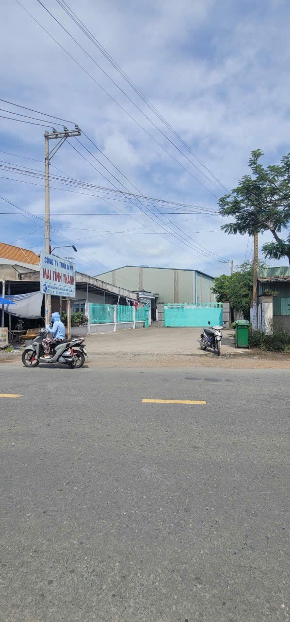Ảnh chính