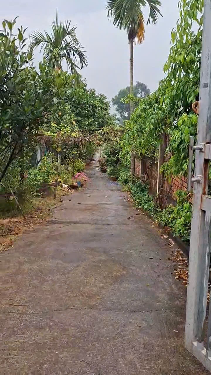 Ảnh 2
