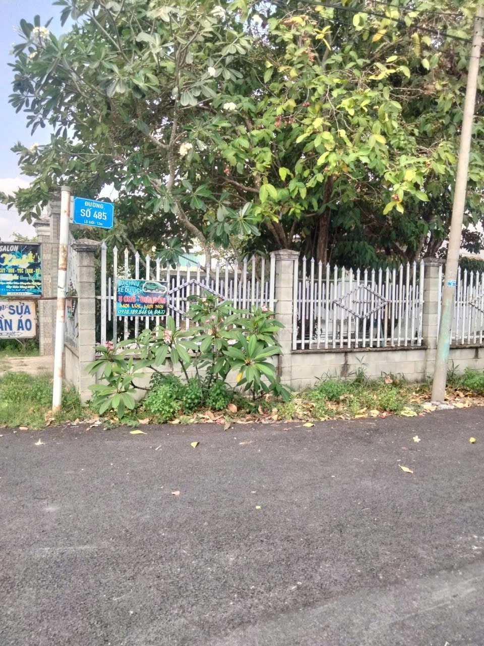 Picture 2