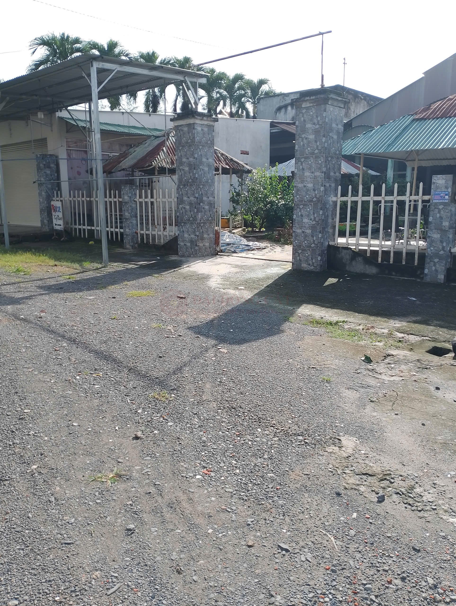 Picture 1