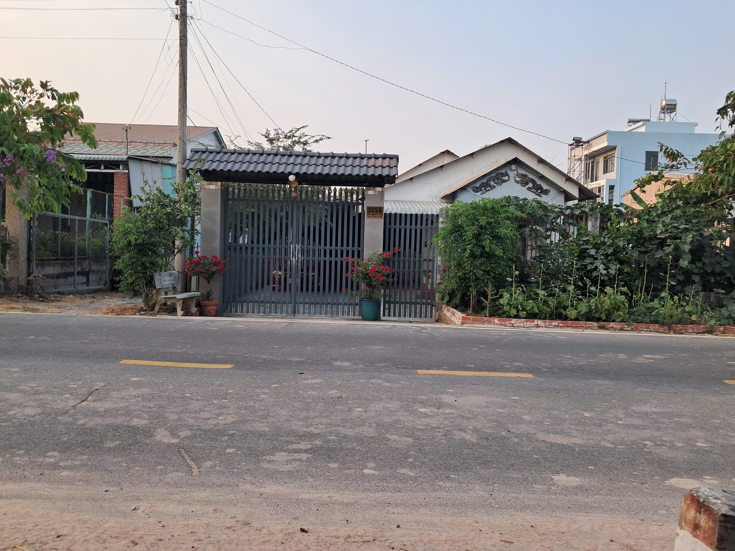 Ảnh chính
