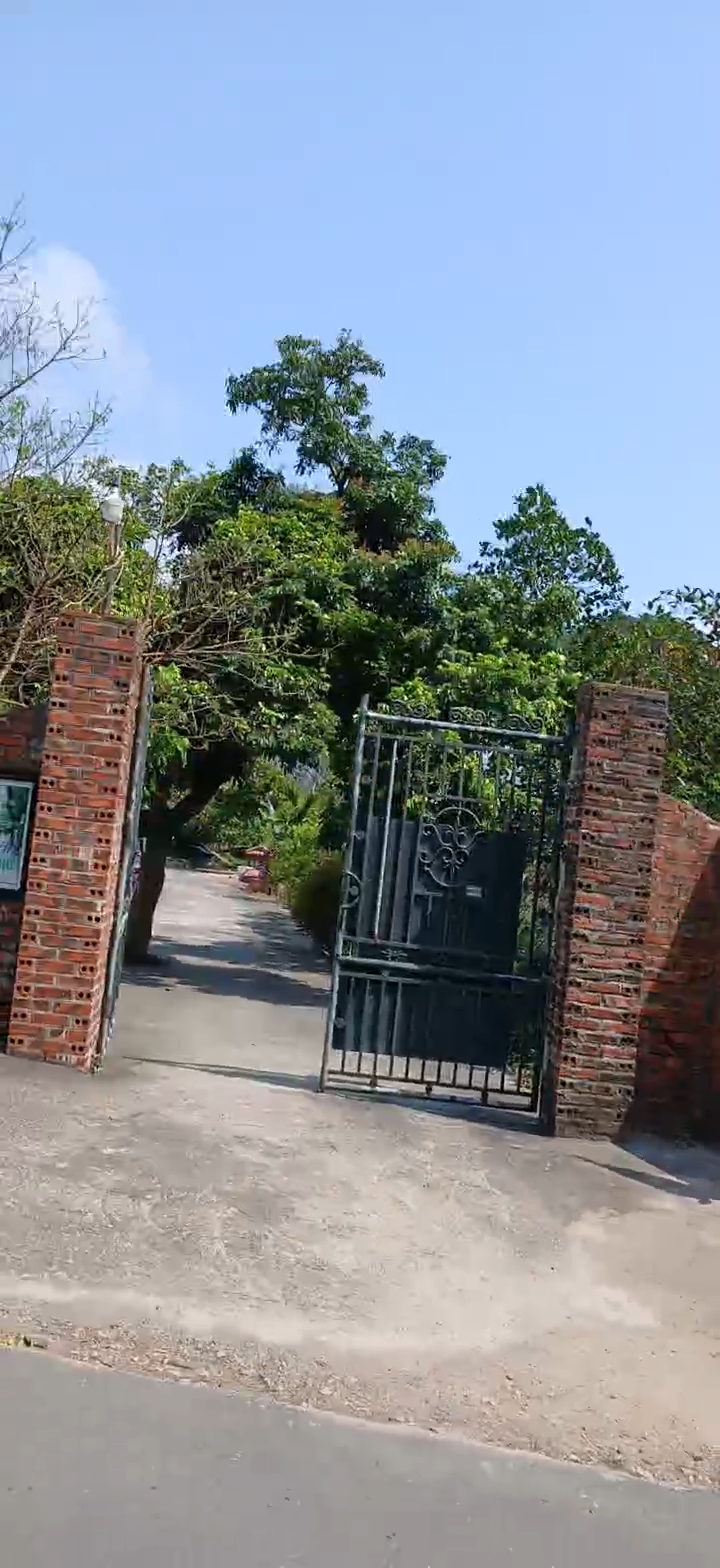 Ảnh chính
