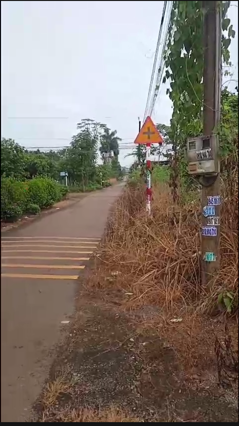 Ảnh 2