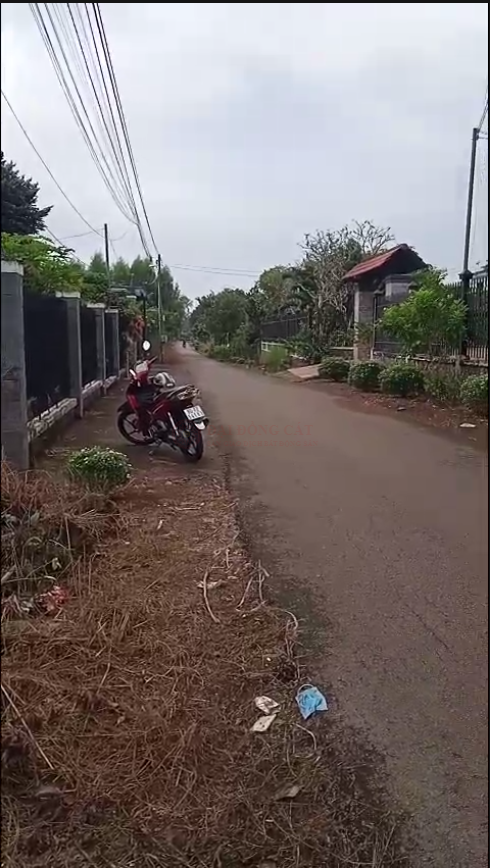 Ảnh 3