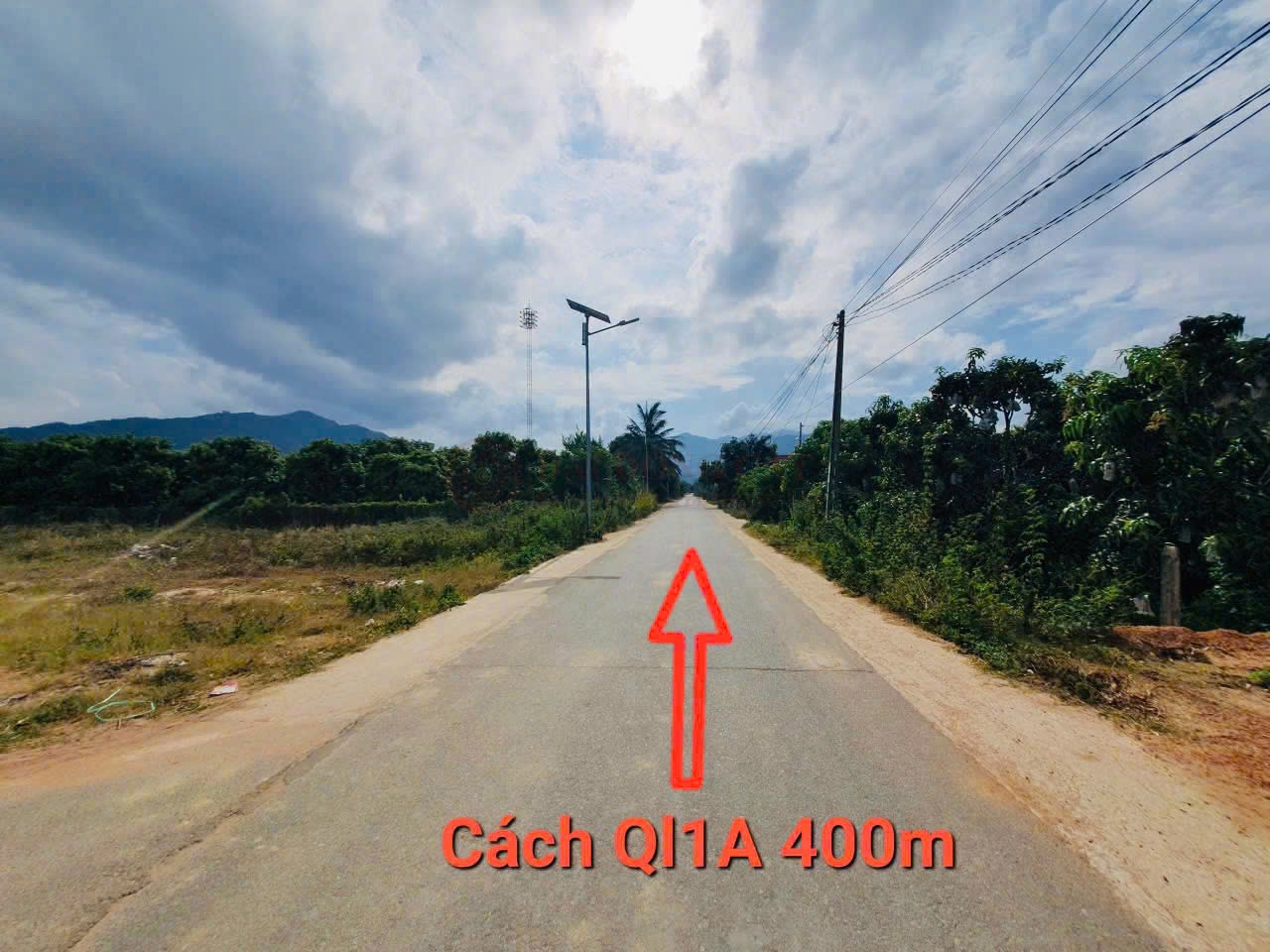Ảnh chính