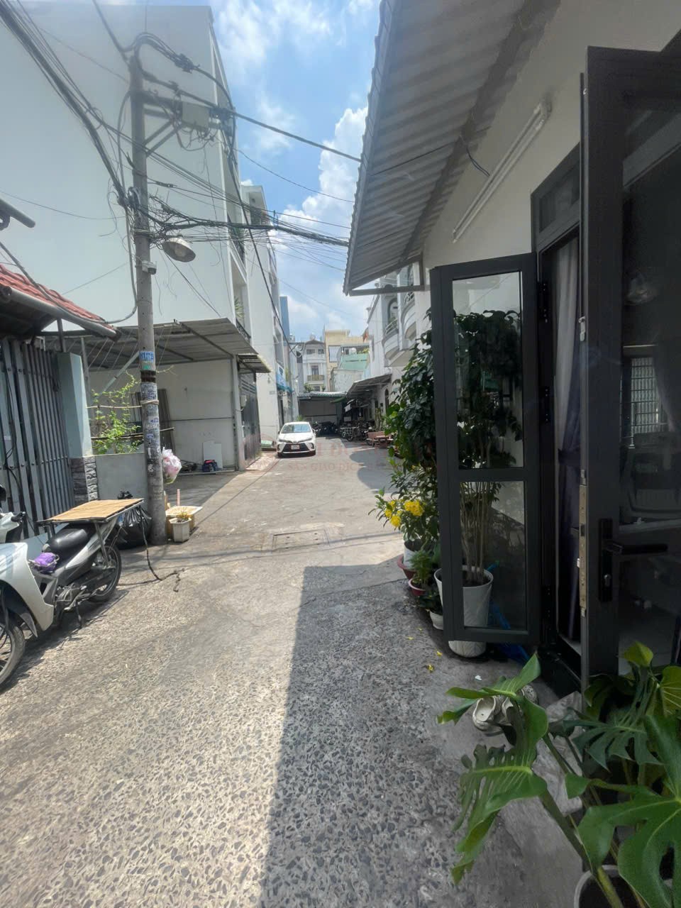 Ảnh 2