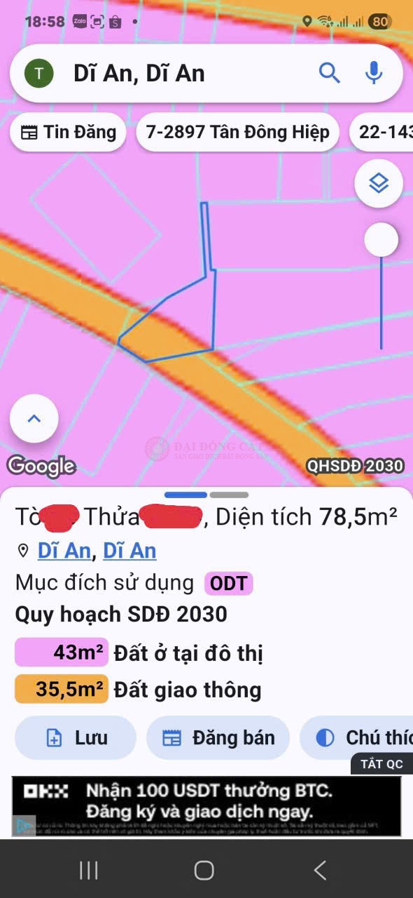 Ảnh 2
