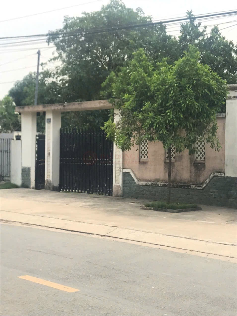 Ảnh chính
