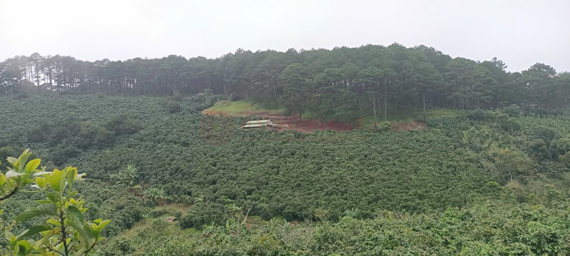 Ảnh 3