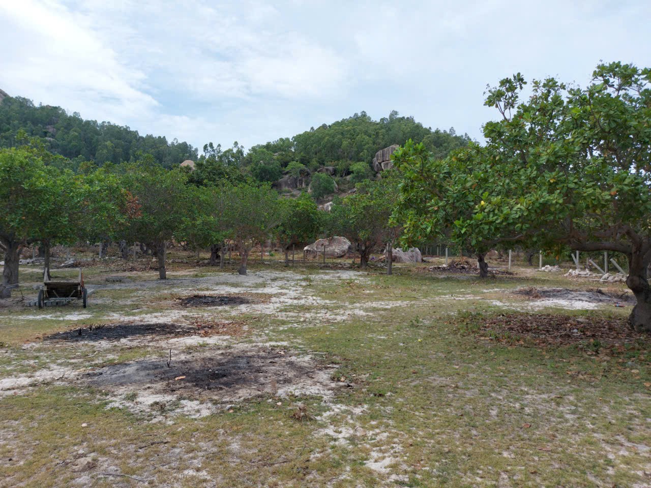 BĐS Nông nghiệp tại thành phố Cam Ranh, Khánh Hòa, 8909m2, giá 25 tỷ đồng