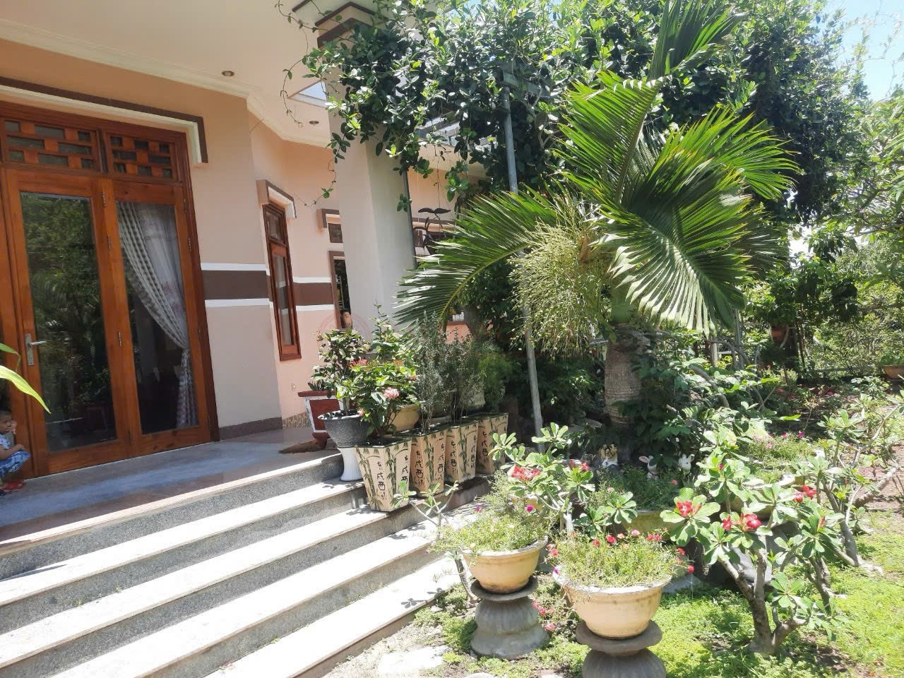 Ảnh chính