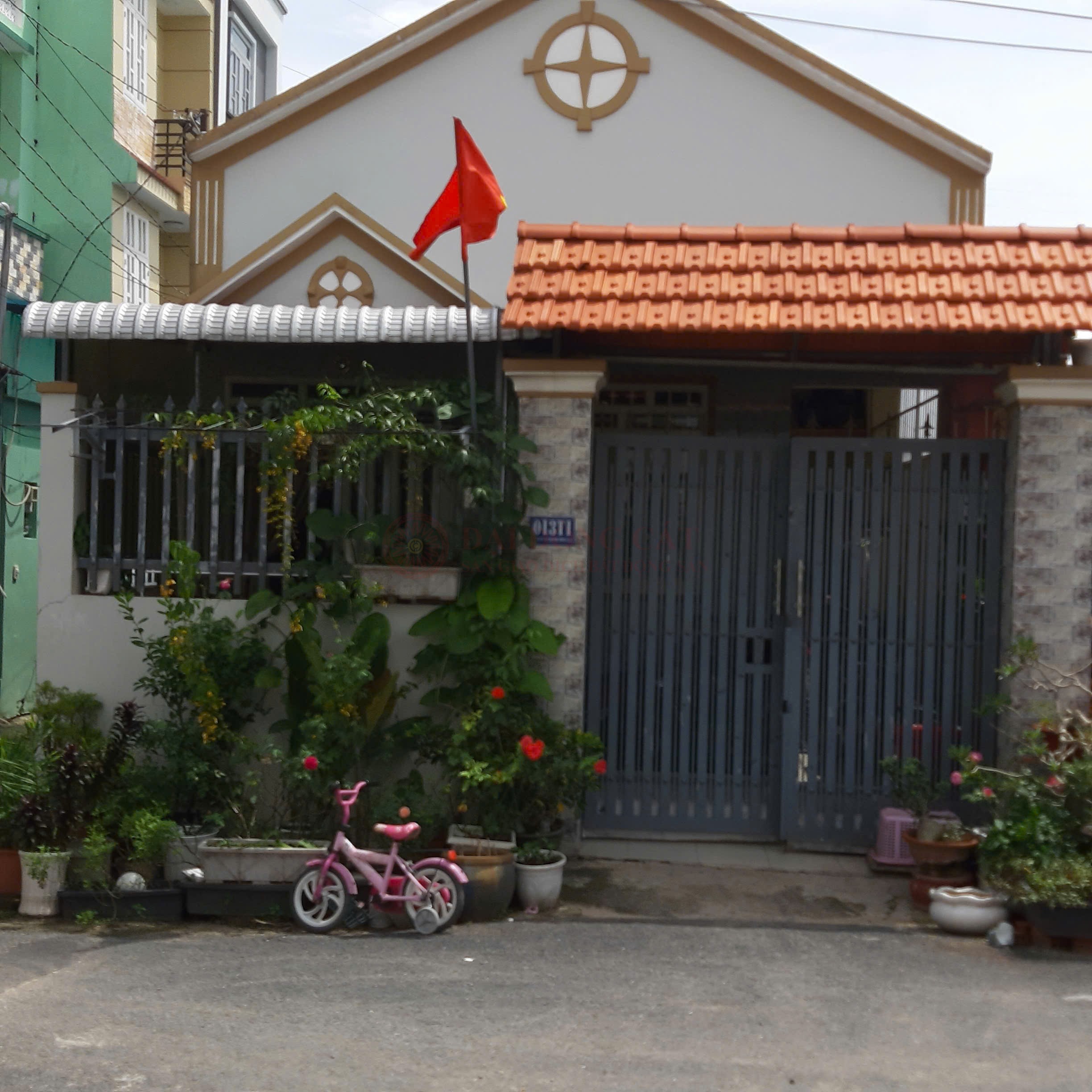 Ảnh chính