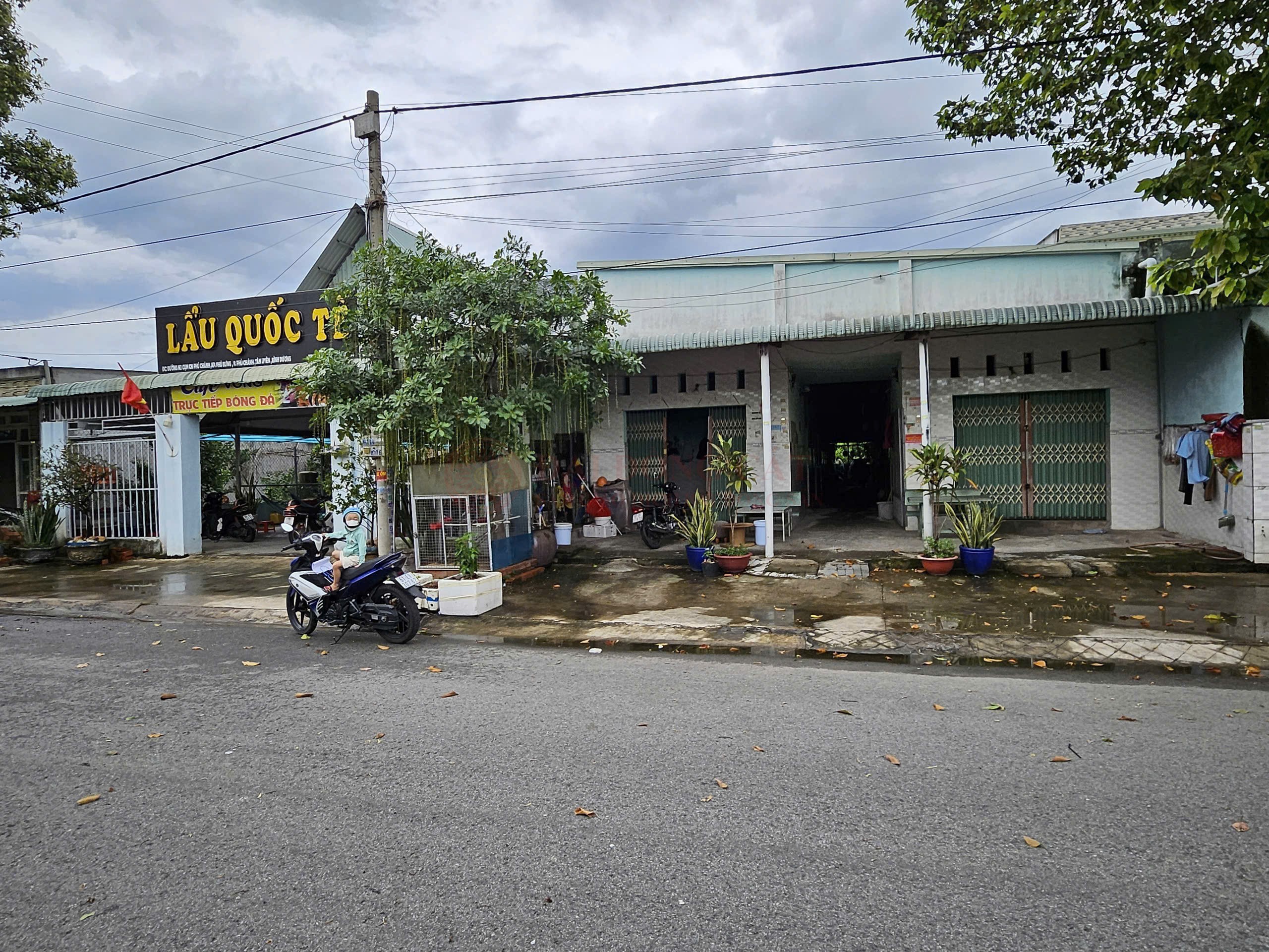 Ảnh chính